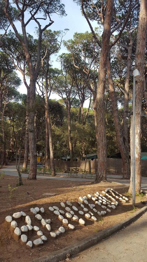 Camping Continental Марина ди Кастането Кардучи Екстериор снимка